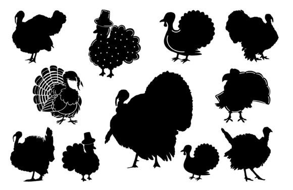 Turkey Black Silhouette Vector Free: Graphics & Illustrations
